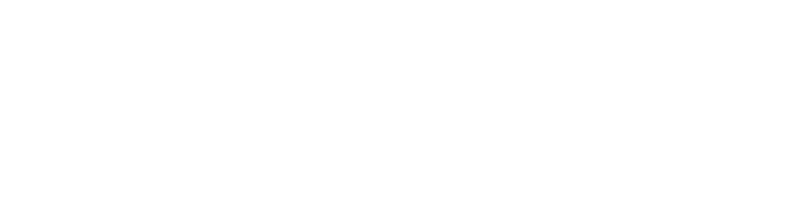 Savvio Logo