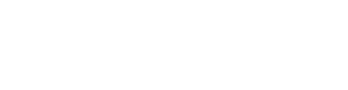 Savvio Logo